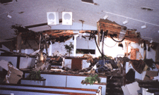 Fire Damaged